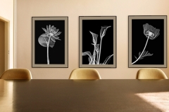 Room with floral Xray art